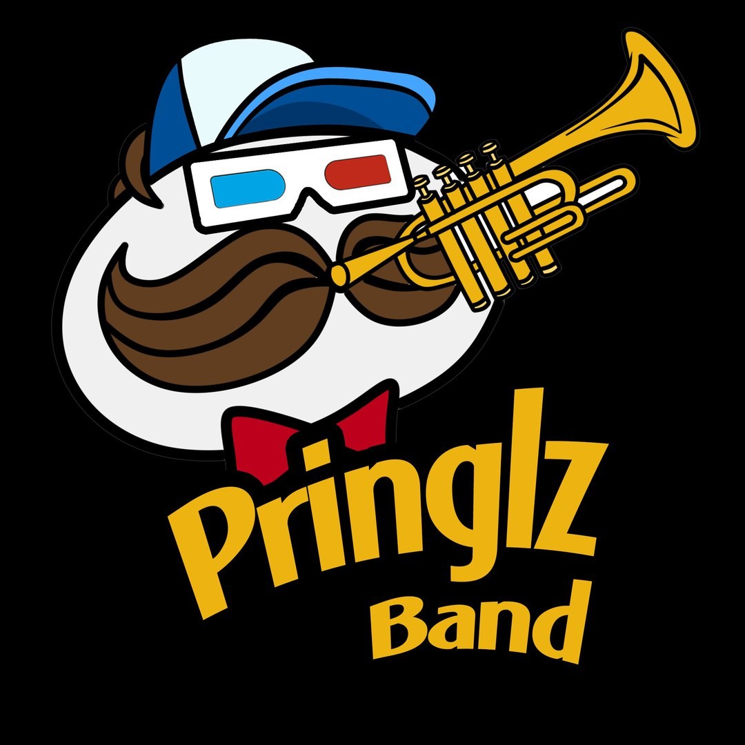 Pringlz Band / Портфолио / фото #5