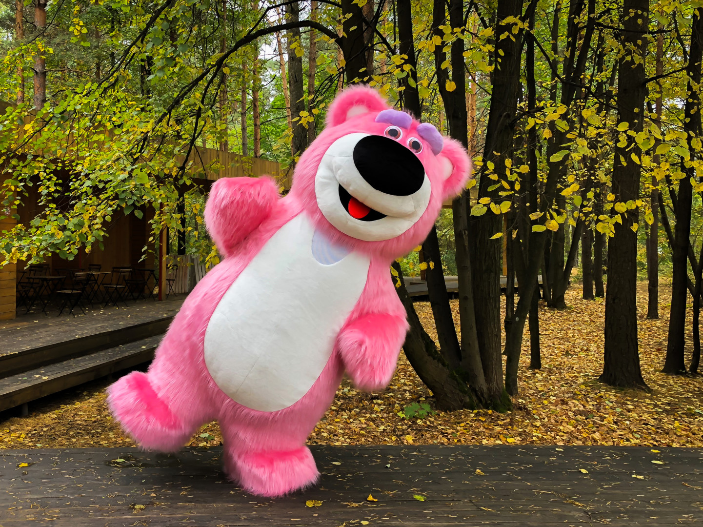 Большой розовый медведь / Портфолио / фото #4