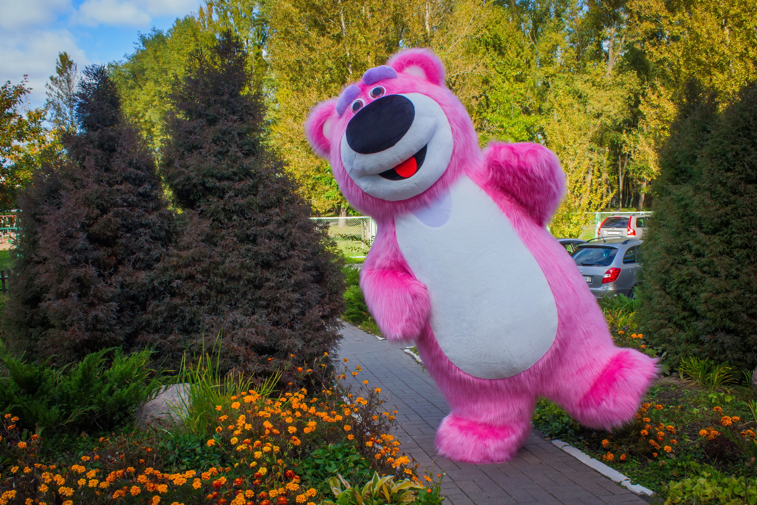 Большой розовый медведь / Портфолио / фото #1